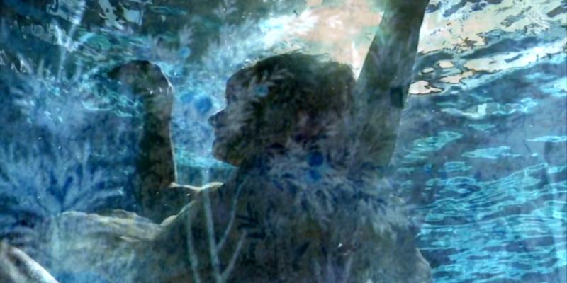 Hidden and Forbidden Identities Hidden and Forbidden Identities