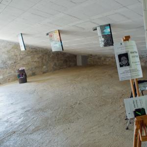 Ginestrelle A.I.R. 2010-2011 presenta l'artista canadese Adrianne Williams 