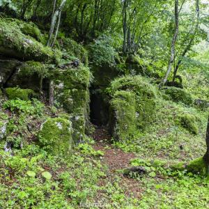 Federico Donato, Cento