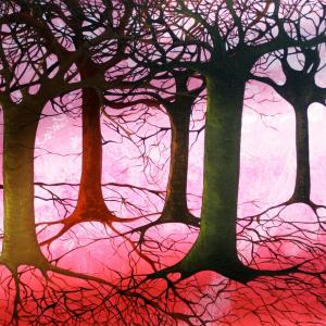 Happy World Environment Day!