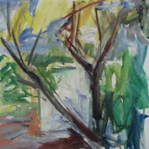 Dialogo con la Natura- oltre i 16:9