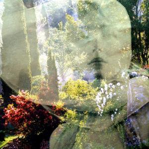 "Alberi, amati alberi"