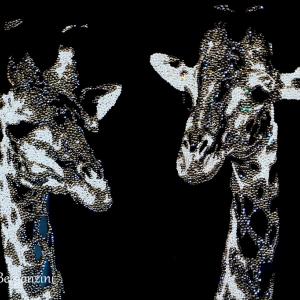 ANIMALS ART A PALAZZO DUCALE