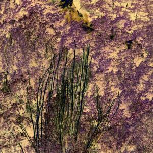 micro & MACRO micro & MACRO