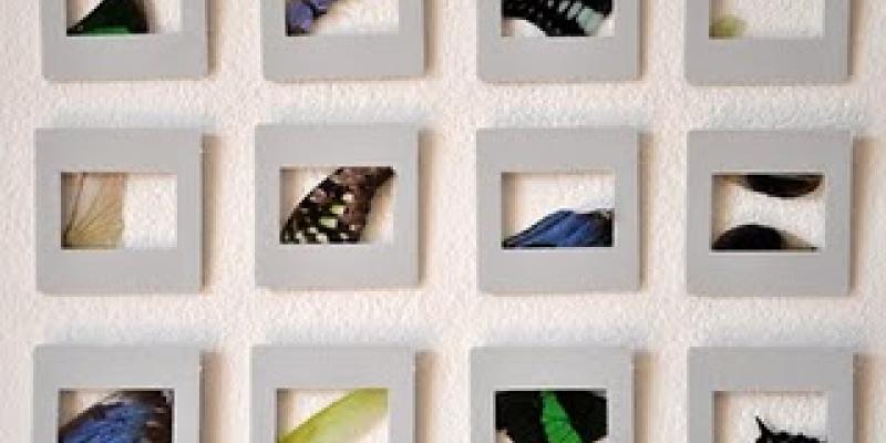 COLLETTIVA FINALE PREMIO GHIGGINI XV EDIZIONE COLLETTIVA FINALE PREMIO GHIGGINI XV EDIZIONE