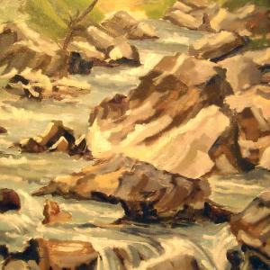 Altra Natura a Revere (mn)