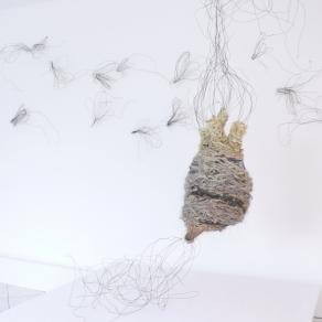 kokoro shin and flies