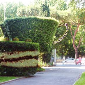 Coffee Break - Lungarno Colombo, Firenze