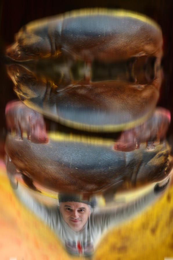 sollevatore di ippooo's