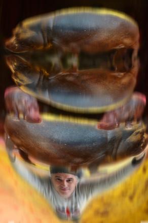 sollevatore di ippooo's