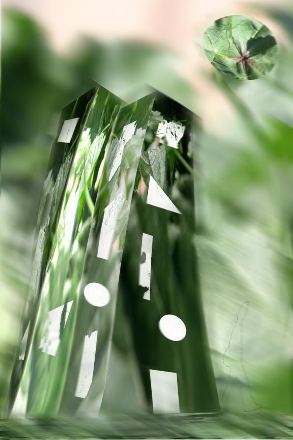 erba di casa mia....