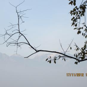 Ramificazione (celeste)