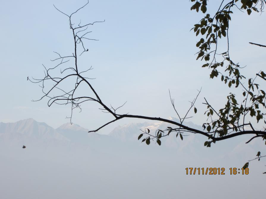 Ramificazione (celeste)