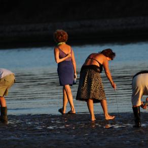 dove dobbiamo cercare?