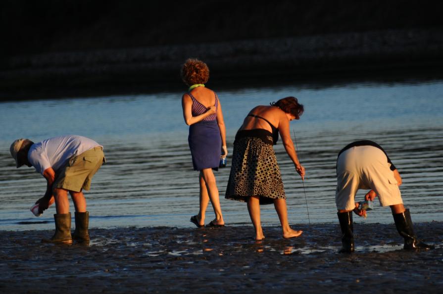 dove dobbiamo cercare? dove dobbiamo cercare?