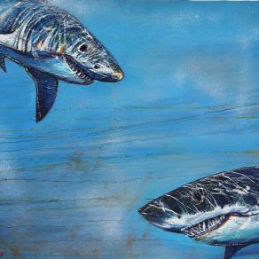 SQUALI TRAVERTINI 3D