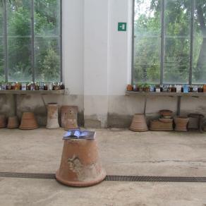 DENTRO/FUORI LIBRO/CASA DENTRO/FUORI LIBRO/CASA