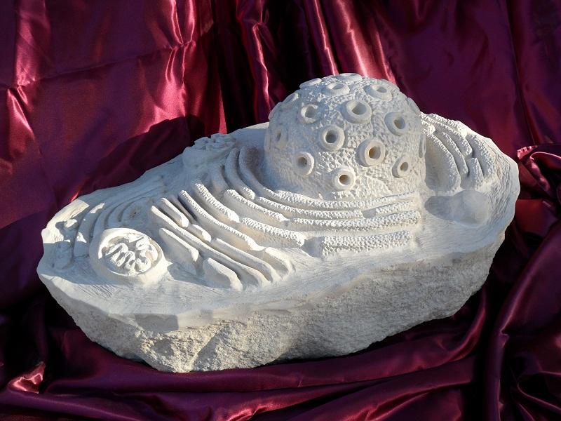 La Solidità della Natura - Campus scientifico Urbino La Solidità della Natura - Campus scientifico Urbino