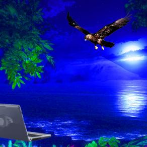 ...L'AQUILA DELLA NOTTE...!!!