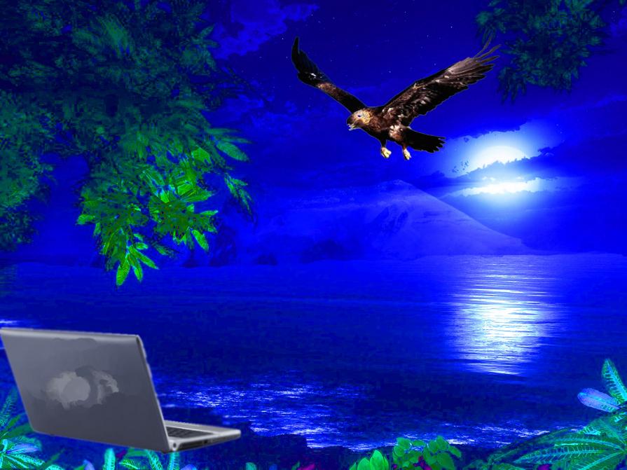 ...L'AQUILA DELLA NOTTE...!!!