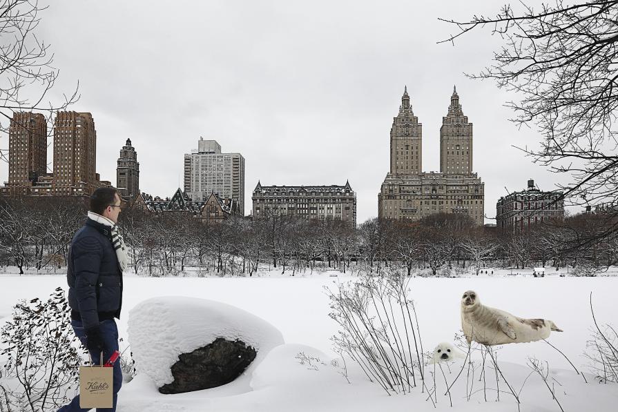 Escaping Central Park Escaping Central Park