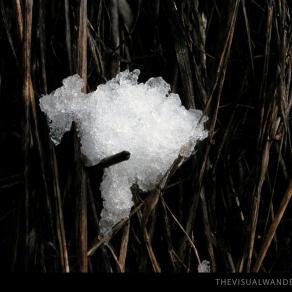 Nuvola del Fieno - Hay Cloud #2