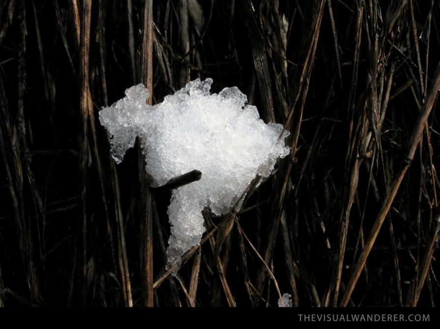 Nuvola del Fieno - Hay Cloud #2