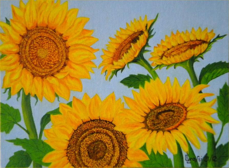 LG 0216 - I girasoli