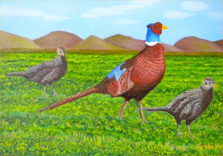 LG 0231 - Il fagiano