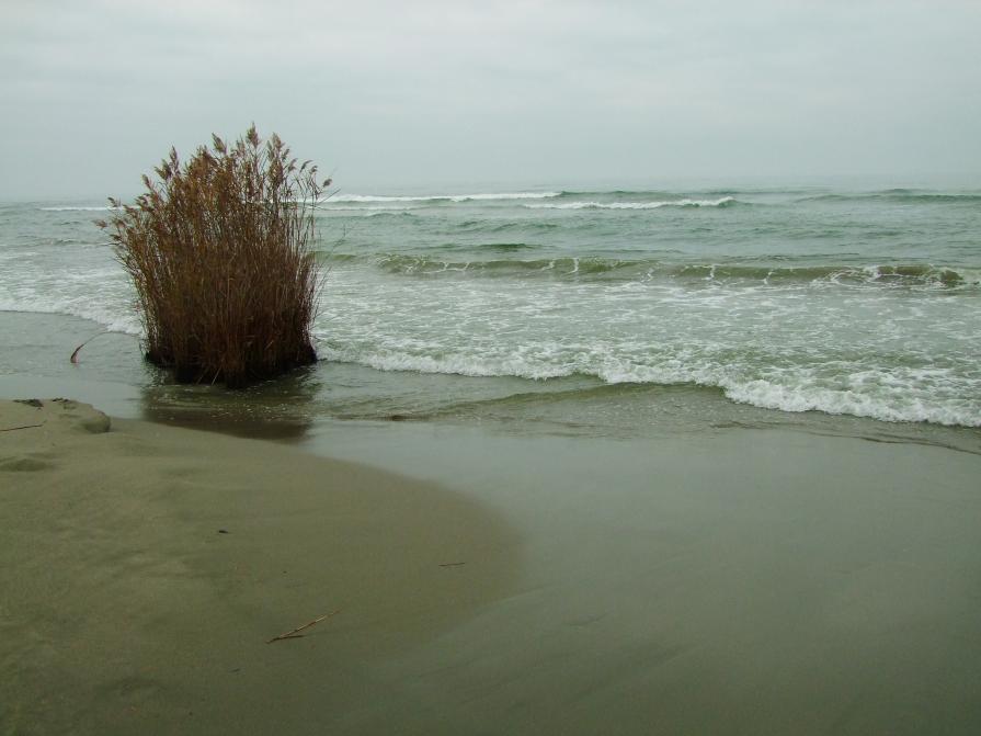 Spaesarsi...    Getting lost...