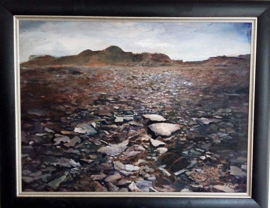 Fields of Mica, Namibian desert