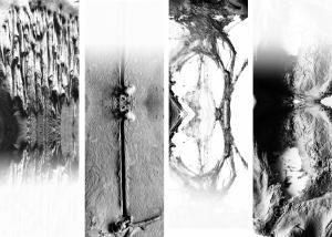 Ana María  Tarazona  - When the body speaks