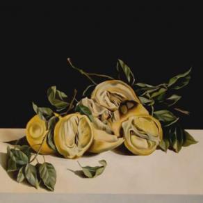 Anatomia di un limone