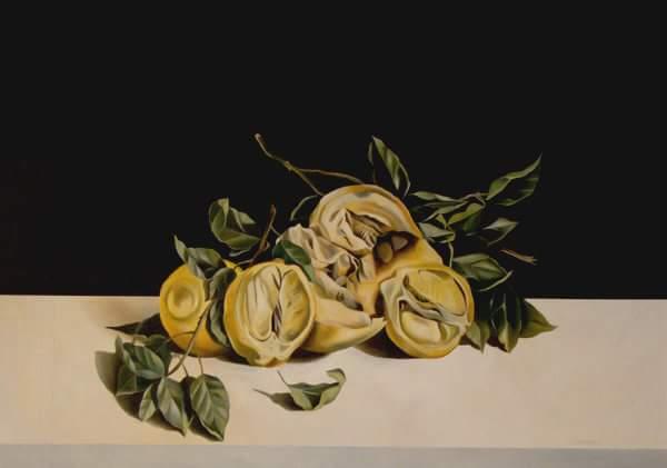 Anatomia di un limone