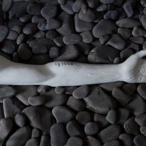 Reconciliation | Carrara marble | 20 x 110 x 25cm