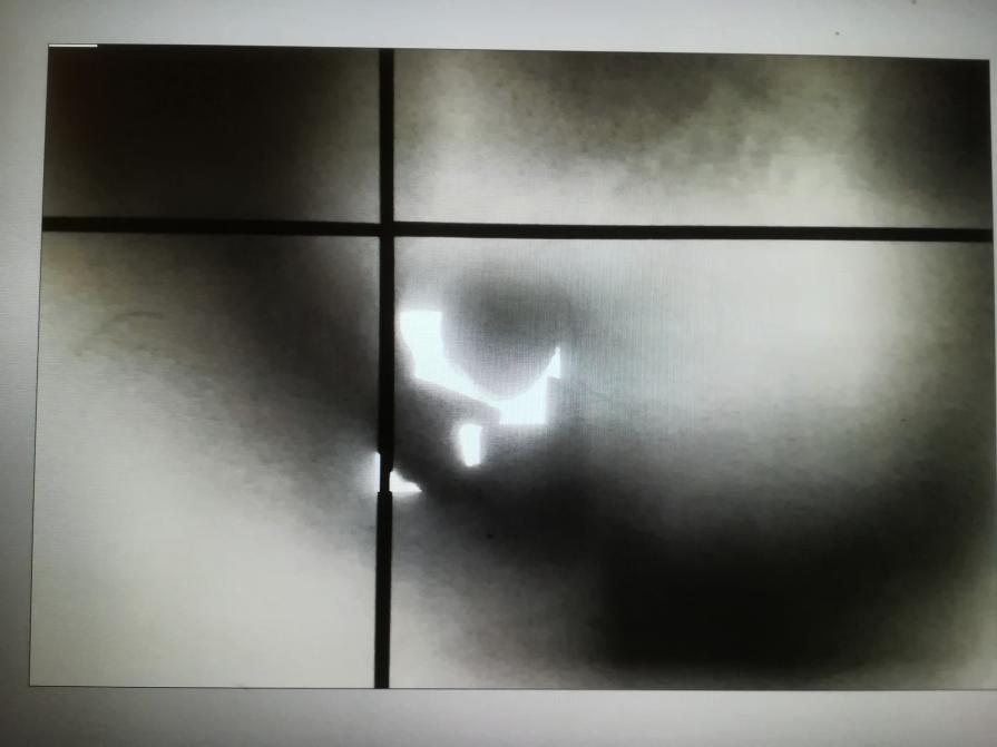 Autoritratto Prigioniero. 