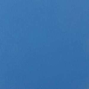 Sonia Costantini. Absolute Color