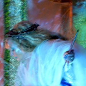 libro LA SIBILLA DI GERUSALEMME di Rosa Didonna libro LA SIBILLA DI GERUSALEMME di Rosa Didonna