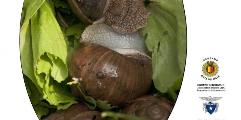 Sentieri di terra / ORTO-grafie