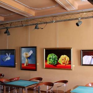 Natura:Luci e Ombre a Modena.