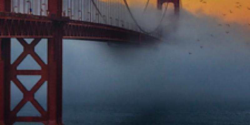 4th Annual CityScapes Art Exhibition Now Online Ready to View