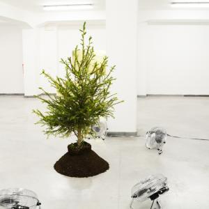  Il potere del sapere ovvero sulle Lucciole di Elena Bellantoni // mostra personale 