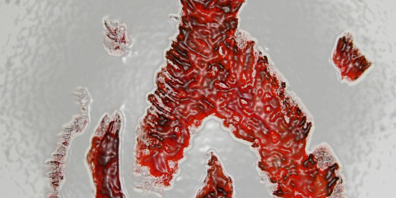 con garbo senza sgarbi