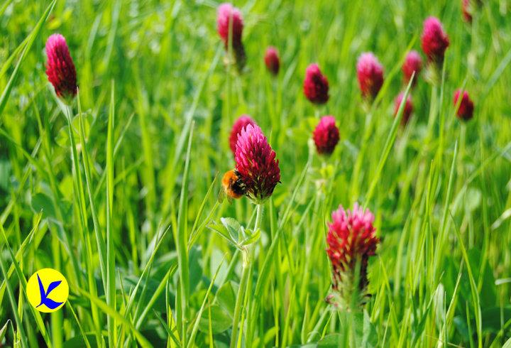 3^ FESTA REGIONALE DELLA CGIL DI BASILICATA - "Altrove PuntoZero" - Integrazione è futuro: voci dal sud del mondo. (5 - 6 SETTEMBRE 2015, Piazza Don Bosco, Potenza) 3^ FESTA REGIONALE DELLA CGIL DI BASILICATA -