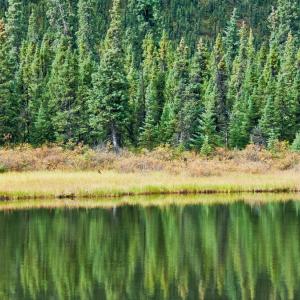 USA. Alaska 3/3. Indagine sulla materia pura