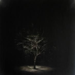 Albero della Conoscenza