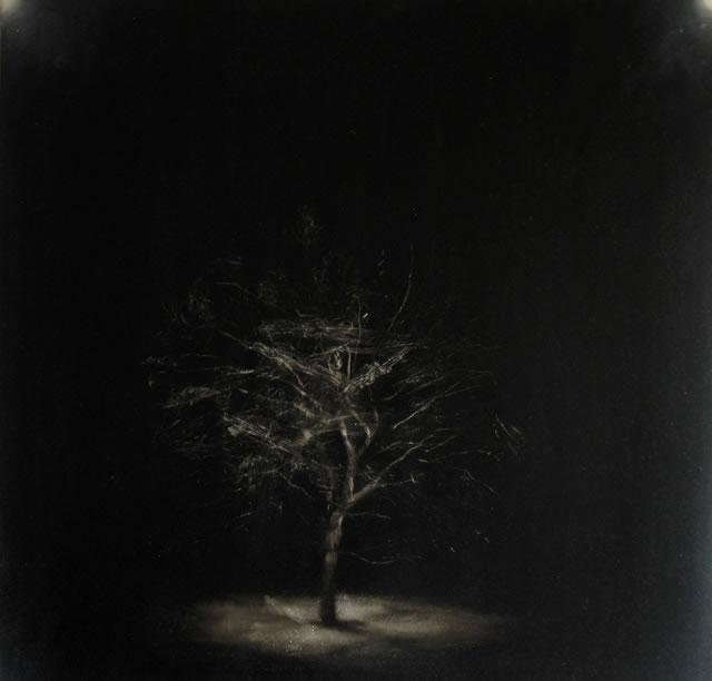 Albero della Conoscenza