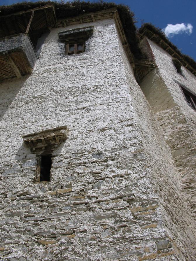 "Sottopelle # 26" Ldk05