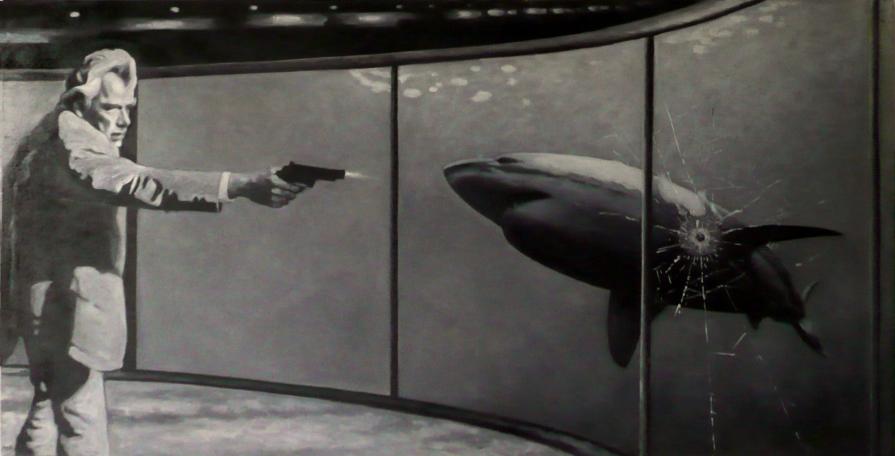 Swimming with Sharks