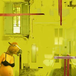 Donna cavallo: attesa legnosa